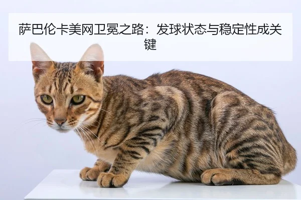 sa-ba-lun-ka-mei-wang-wei-mian-zhi-lu-fa-qiu-zhuang-tai-yu-wen-ding-xing-cheng-guan-jian-2-606.jpg